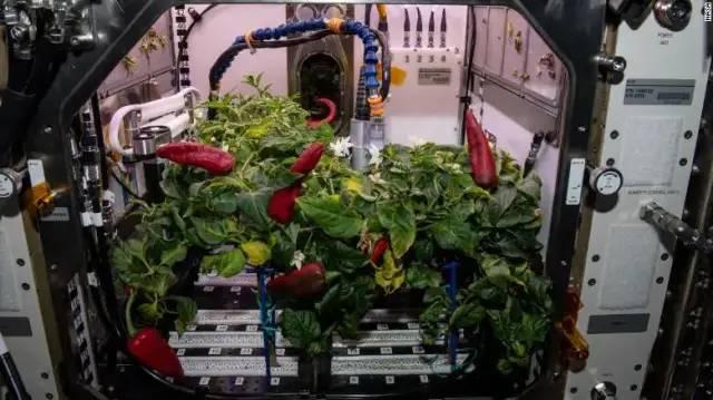 steam自我锁定怎么解锁，steam怎样自我锁定（科技爱好者周刊<第190期>）