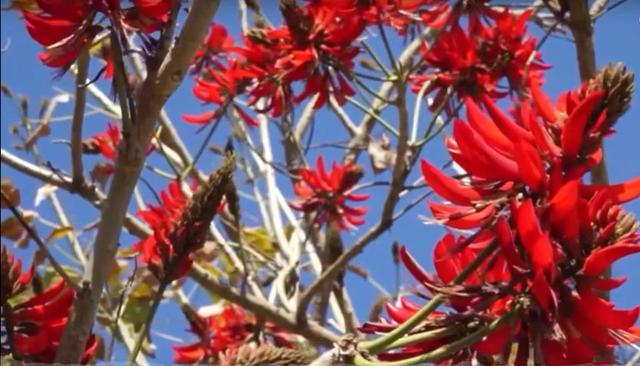 我爱米兰歌词，我爱米兰歌词完整版（我们仍然相信阅读的力量）