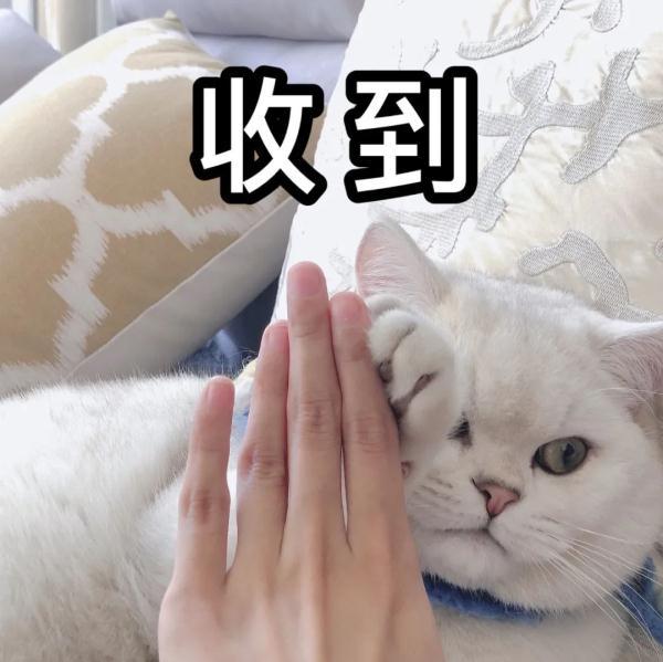 2020年元旦股市休市安排，2020股票元旦休市安排（放假通知！42天）