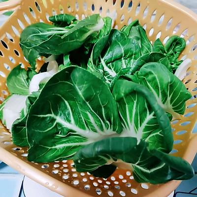 上海青是什么菜，上海青是什么菜吃多有害吗（让你停不下筷子的清炒矮脚黄）