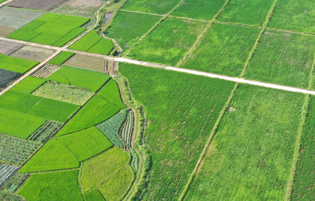 基本农田保护条例，2022年基本农田最新规定（永久基本农田和耕地有什么关系）