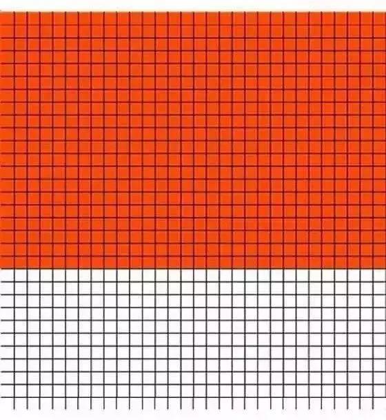 a4纸有多大图片，a4纸有多大（a4纸有多大图片）