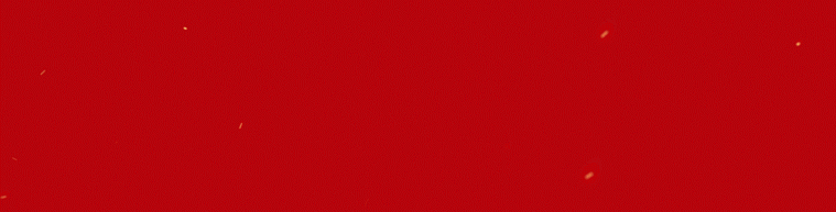 枞阳中学（外媒看枞阳）