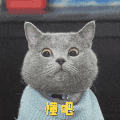 时速八十迈是80公里每小时吗，迈、码、公里/小时有什么区别