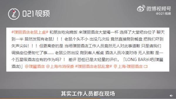大老鼠（大老鼠图片，怎么也捉不到它老鼠药下了不吃（一只硕大的老鼠爬上餐桌）
