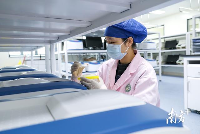 珠海皮防所详细地址，珠海市皮防所（珠海市第三人民医院揭牌启用）