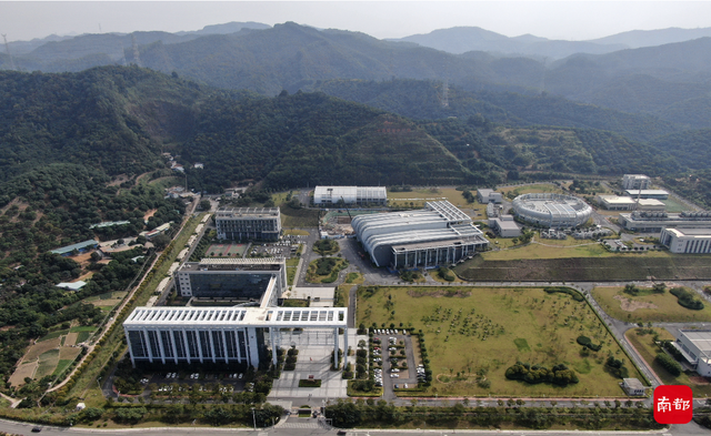 东莞各镇gdp，东莞哪个镇发展最好（东莞“最牛企业”区域分布长安拔头筹）