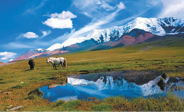 尼玛县美食，尼玛县天空之树（玛沁县：美丽宜人的牧人家园）