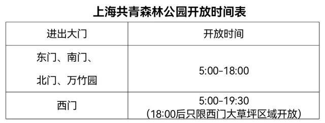 水仙花几点开放，水仙花每日几点钟开花（一年一度的水仙花展好美）