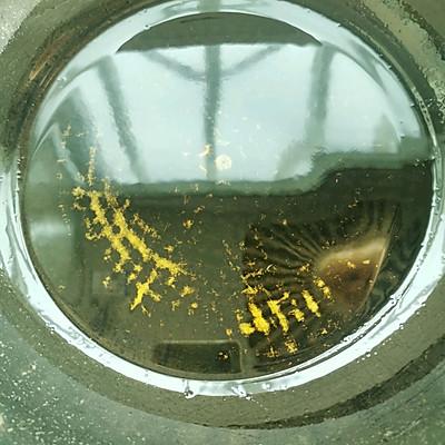 白菜和白豆腐怎么做，白菜和白豆腐怎么做菜（一定要收藏的白菜豆腐汤）