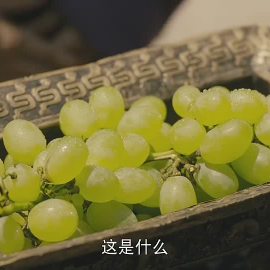 非尝味道进口食品，各类食品（四大名著中你没想到的那些“进口食品”）