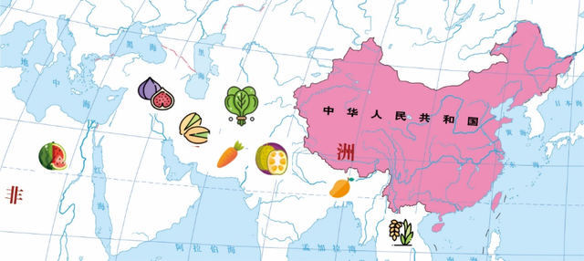 非尝味道进口食品，各类食品（四大名著中你没想到的那些“进口食品”）