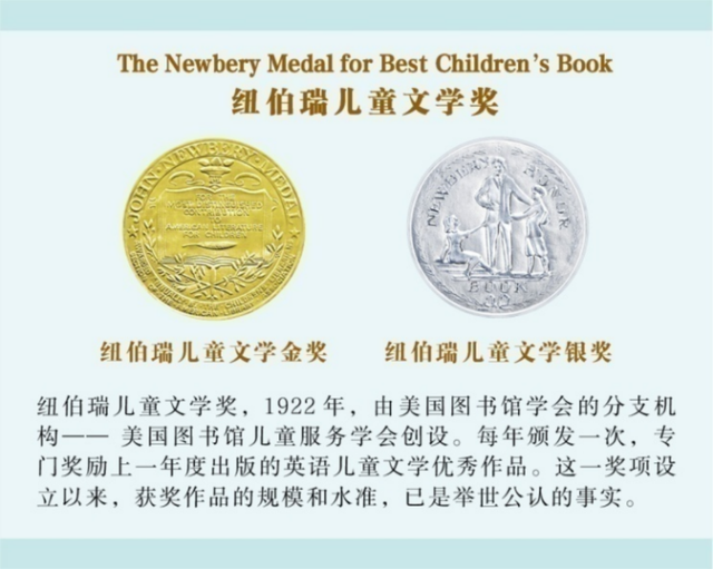 适合儿童阅读的国际大奖小说有哪些，国际大奖小说注音版（让孩子在爱、想象与勇气中成长）