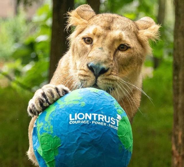 伦敦的著名景点，英国伦敦的著名景点有哪些（伦敦十二处旅游地标被这样吐槽）