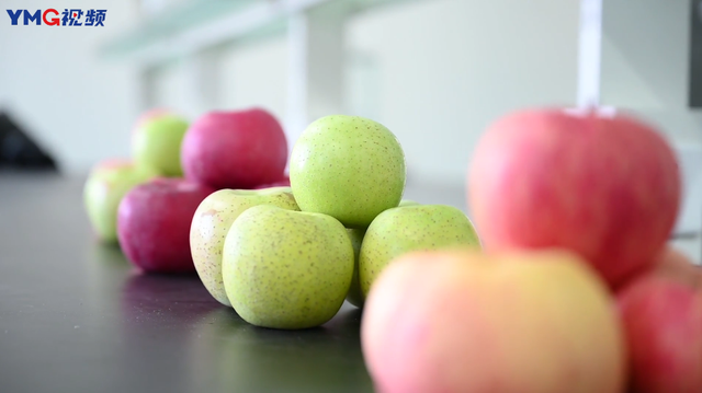苹果汁怎么榨好喝，自制苹果汁怎么榨好喝（烟台苹果鲜食要带皮）