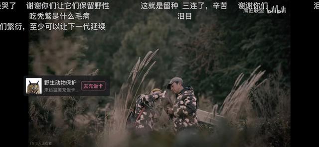 哔哩哔哩网页版，哔哩哔哩网页版怎么退出登录（哔哩哔哩公益平台正式上线）