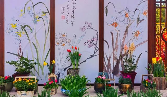 水仙花几点开放，水仙花每日几点钟开花（一年一度的水仙花展好美）