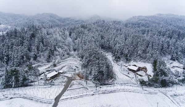 南秦雪唐元稹的古诗，南秦雪唐元稹古诗视频（跟着镜头品诗词，雪霏霏）