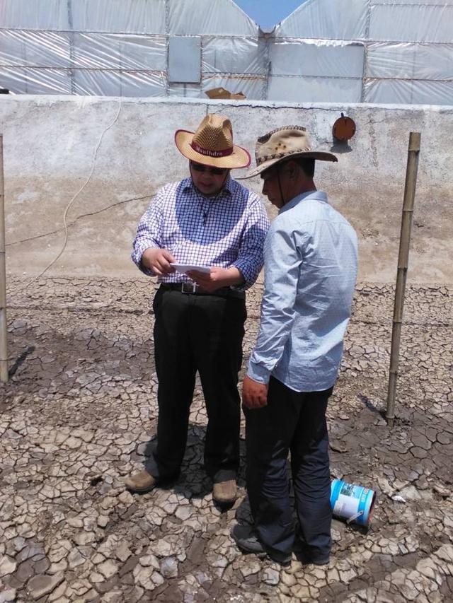 女人梦见很多活螃蟹，女人梦见很多活螃蟹在床上（为海蟹“千里搬家”找路子）