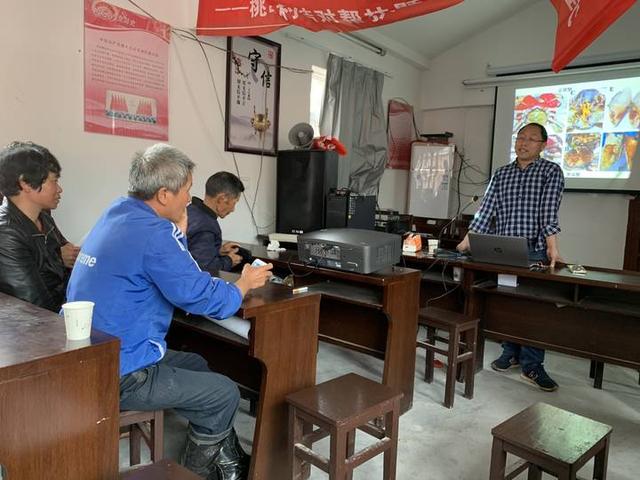 女人梦见很多活螃蟹，女人梦见很多活螃蟹在床上（为海蟹“千里搬家”找路子）