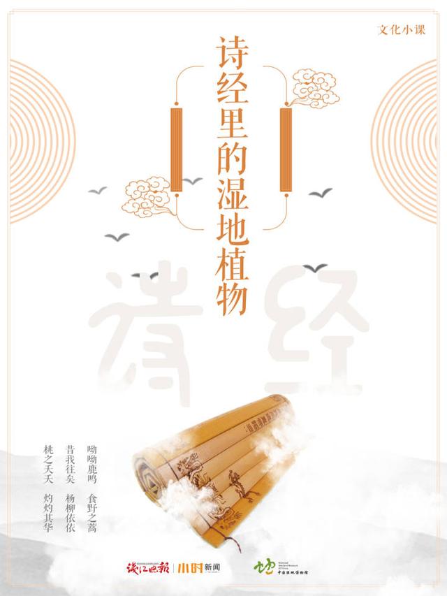 五谷中的菽是指什么，菽是指什么（浙大文学院教授带大家识“五谷”）
