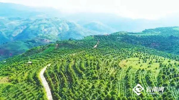 云南春节习俗，云南地区春节期间有什么风俗（全是干货丨云南16州市景区优惠暨文旅活动速看→）
