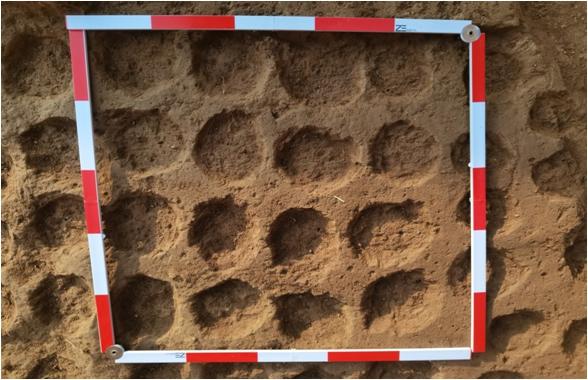 《楚汉传奇》：刘邦败逃为何丢下两个孩子，王陵公园里面的餐厅叫什么（秦始皇帝陵园外城东门的城门毁坏与火有关）