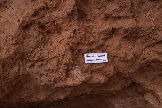 《楚汉传奇》：刘邦败逃为何丢下两个孩子，王陵公园里面的餐厅叫什么（秦始皇帝陵园外城东门的城门毁坏与火有关）