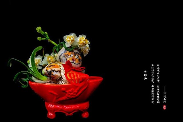 关于水仙花的诗歌，关于水仙花的诗歌题目（古人是如何评价水仙的）