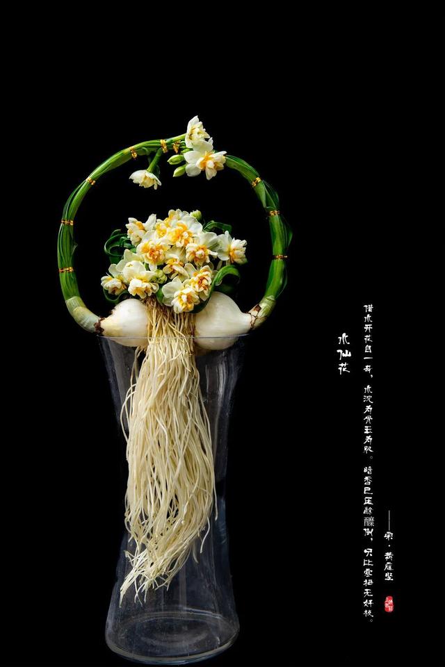 关于水仙花的诗歌，关于水仙花的诗歌题目（古人是如何评价水仙的）