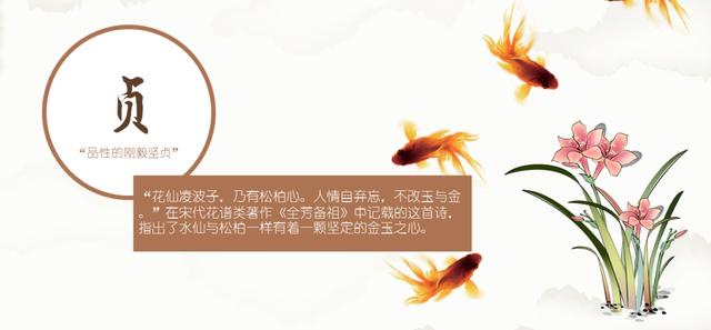 关于水仙花的诗歌，关于水仙花的诗歌题目（古人是如何评价水仙的）
