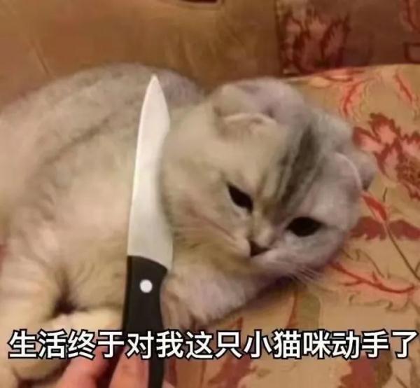 橘和桔有什么区别，橘和桔有什么区别图片（什么？你居然也掉进了循环）