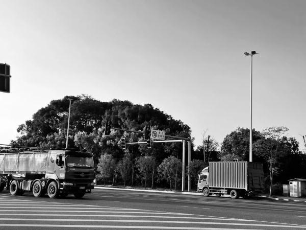 橘和桔有什么区别，橘和桔有什么区别图片（什么？你居然也掉进了循环）