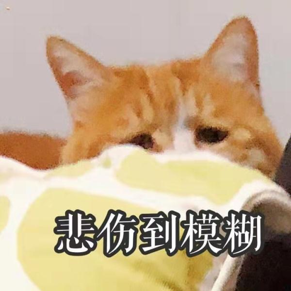 橘和桔有什么区别，橘和桔有什么区别图片（什么？你居然也掉进了循环）