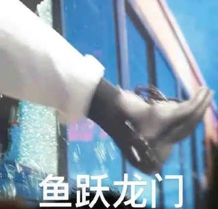 橘和桔有什么区别，橘和桔有什么区别图片（什么？你居然也掉进了循环）