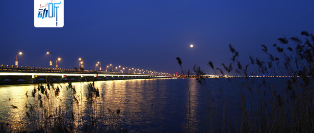 与你共赏今夜的月光散文，与你共赏今夜的月光散文朗诵（夜读丨城里的月光）