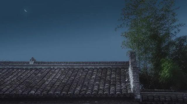 与你共赏今夜的月光散文，与你共赏今夜的月光散文朗诵（夜读丨城里的月光）