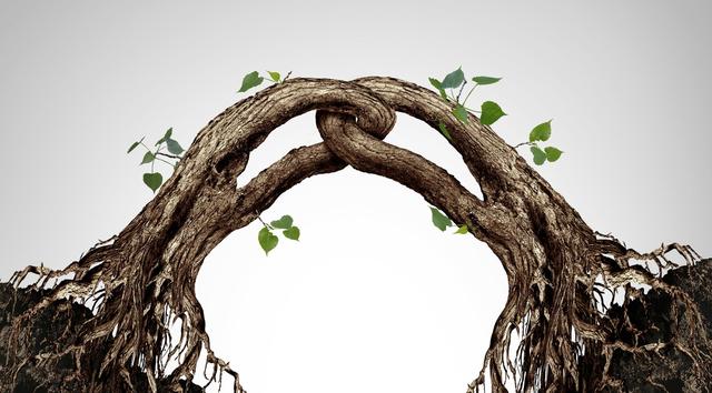 双降汤的功效与作用，双降茶的功效（风险逼出文明）