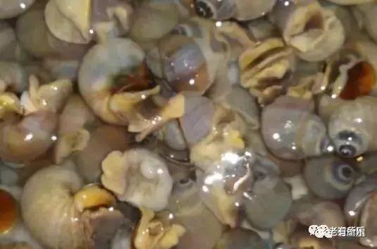 怎么炒蒸菜，怎么炒蒸菜好吃（收藏这40道蒸菜）