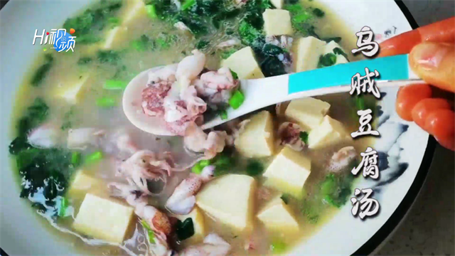 大乌贼怎么做好吃，大乌贼鱼的做法大全（乌贼豆腐汤：浓郁鲜香）
