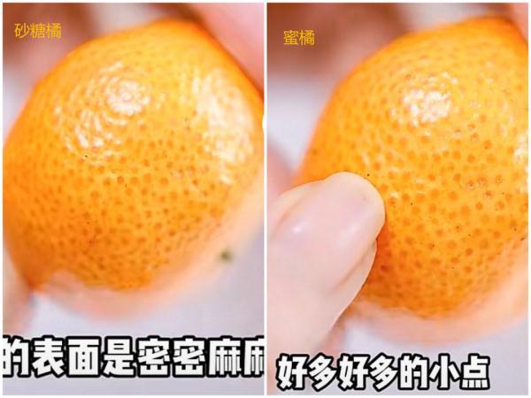 鲜窄红萝卜汁可以放冰箱隔夜喝吗，萝卜汁放冰箱可以放多久（砂糖橘吃多了皮肤会变黄）