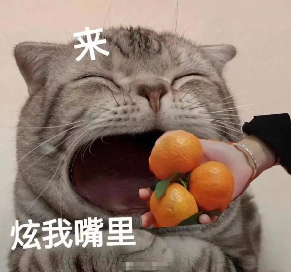 鲜窄红萝卜汁可以放冰箱隔夜喝吗，萝卜汁放冰箱可以放多久（砂糖橘吃多了皮肤会变黄）