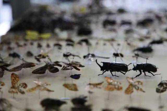 那些传说中的大学假期作业，大学有寒假作业（这都是我没见过的大学作业）