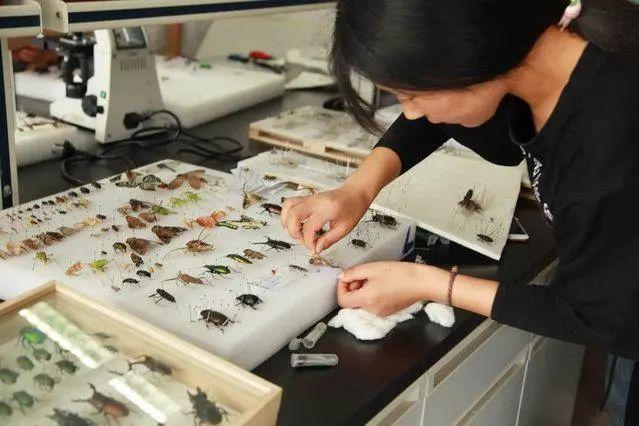 那些传说中的大学假期作业，大学有寒假作业（这都是我没见过的大学作业）