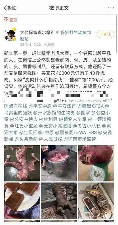 交易聊天截图显示,有买家花4万元订购了40斤虎肉.