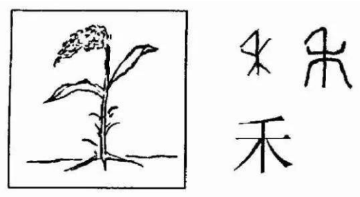 五谷中的菽是指什么，菽是指什么（浙大文学院教授带大家识“五谷”）
