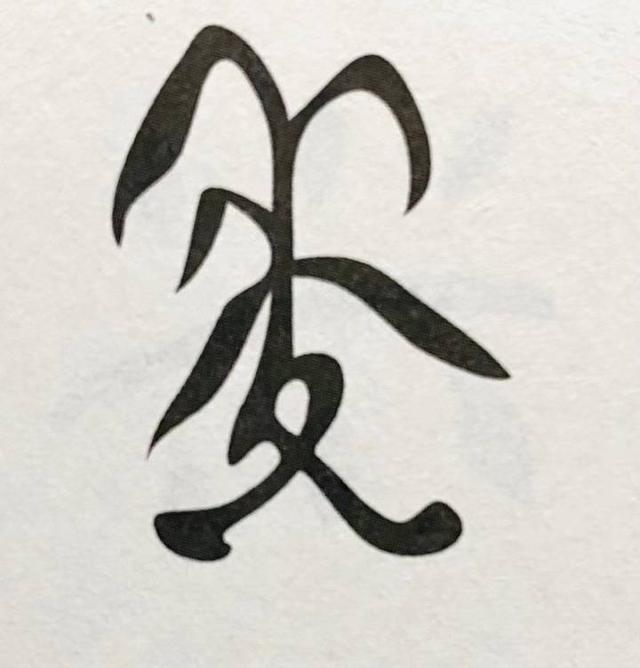 五谷中的菽是指什么，菽是指什么（浙大文学院教授带大家识“五谷”）