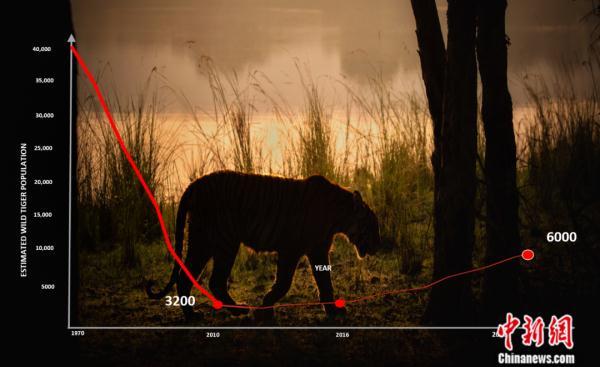 栖身之所的所是什么意思，栖身之所是成语吗（中国治理经验对世界有何启示）