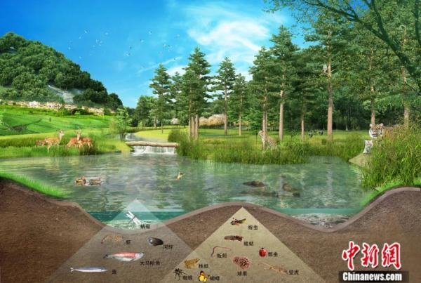 栖身之所的所是什么意思，栖身之所是成语吗（中国治理经验对世界有何启示）