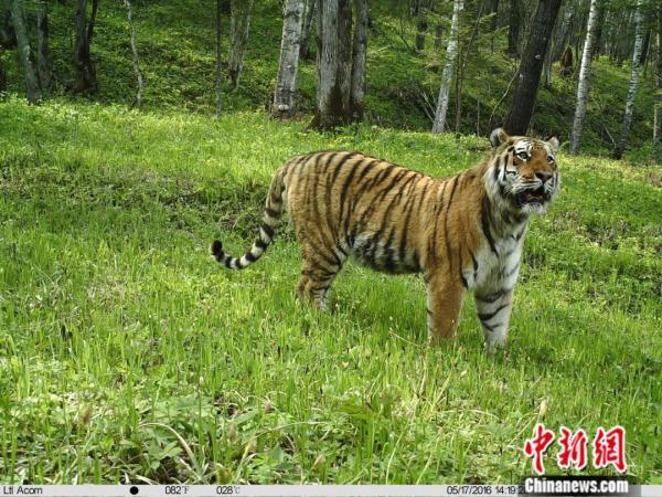 栖身之所的所是什么意思，栖身之所是成语吗（中国治理经验对世界有何启示）